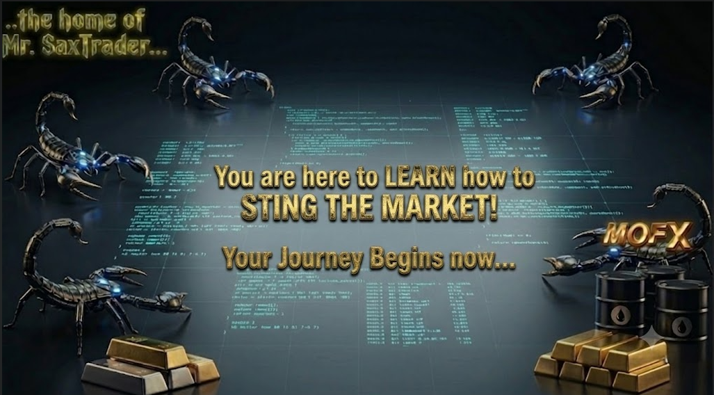 You are here to learn how to sting the market — your journey begins now